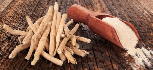 Benefits of Ashwagandha for Women